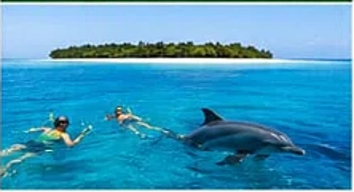 Mnemba Island + Snorkeling + Dolphin excursion in Zanzibar