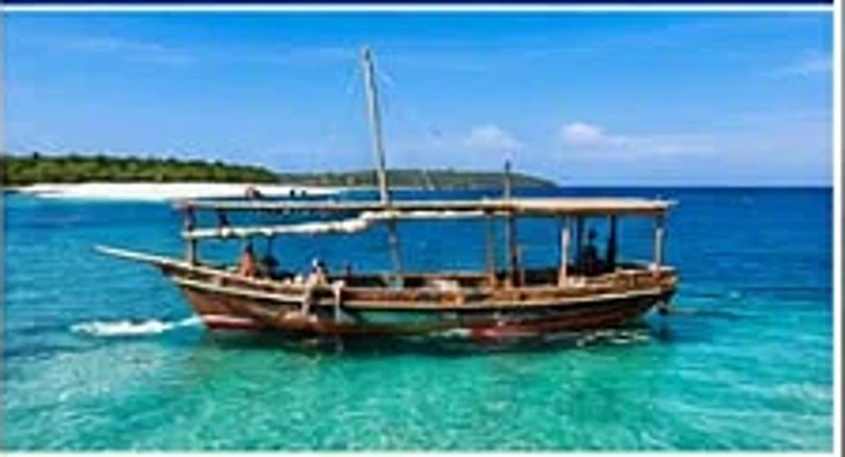 Safari Blue Lagoon excursion in Zanzibar