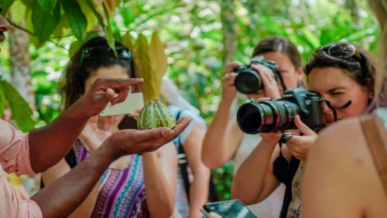 Spice Farm Tour