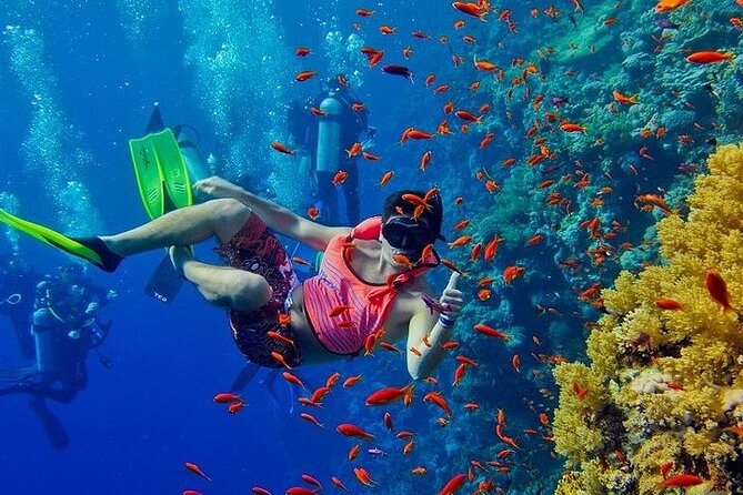Mnemba Snorkeling