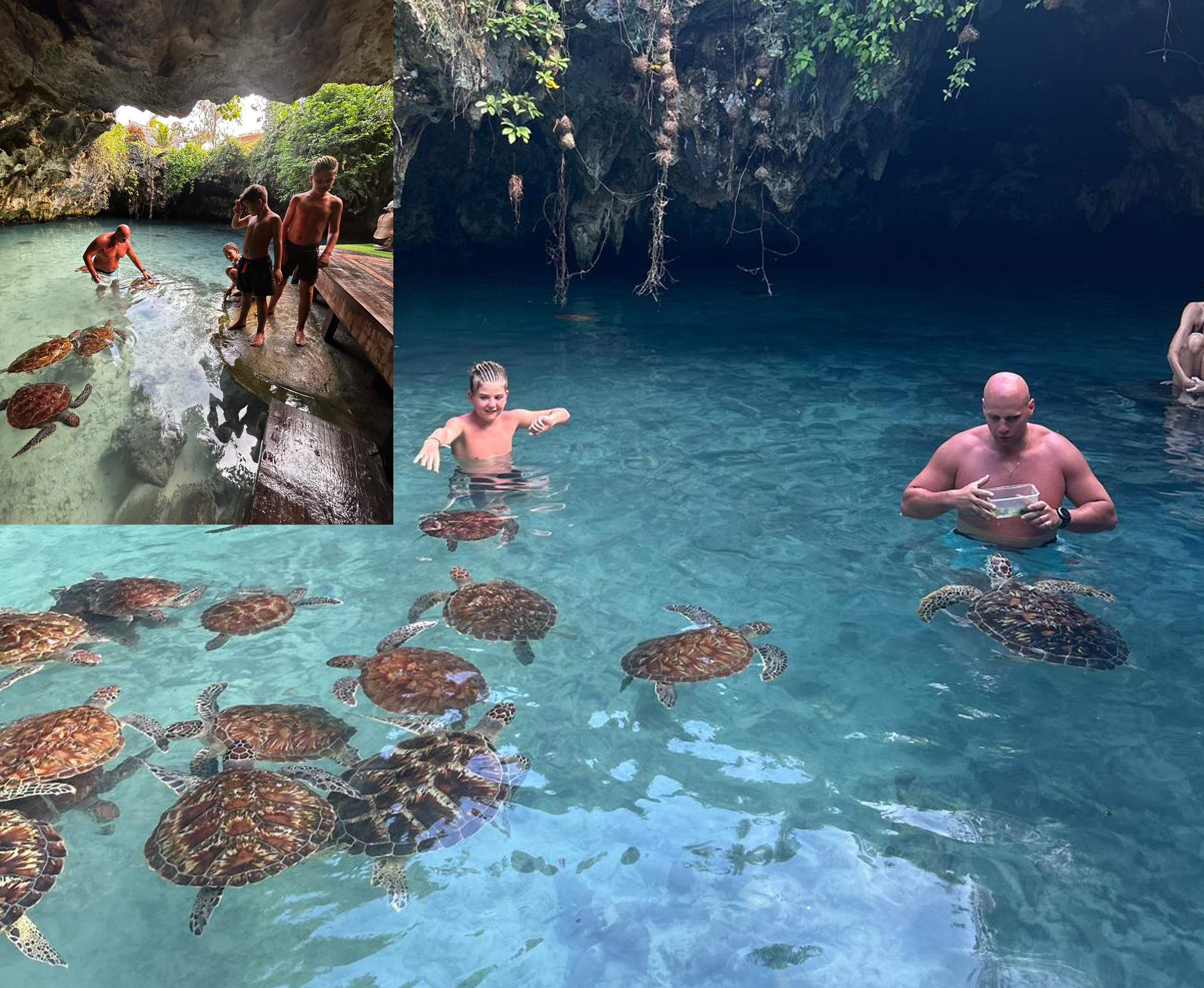 Turtle Tour